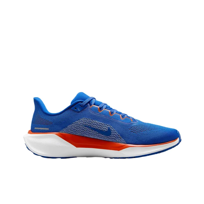 Nike Air Zoom Pegasus 41 Florida-1