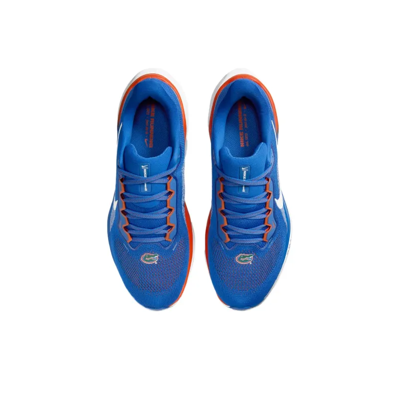 Nike Air Zoom Pegasus 41 Florida-3