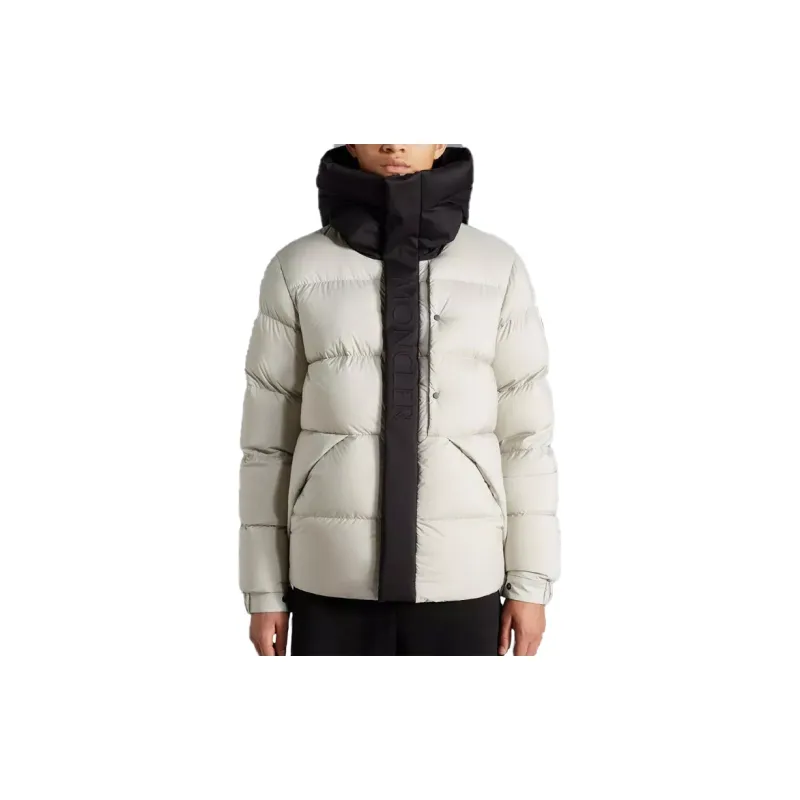 Moncler Madeira Series FW22 Down Jacket Men's Light Gray-2
