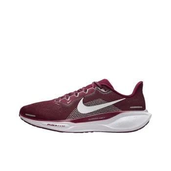 Nike Air Zoom Pegasus 41 Aamu
