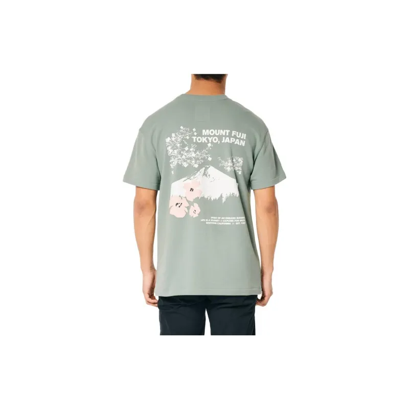 Hollister T-Shirts Unisex Sage Green-1