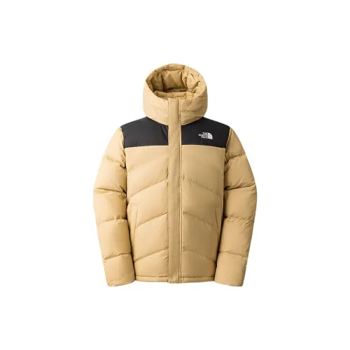 THE NORTH FACE City Outdoor Collection Down Jackets Men Stone Brown