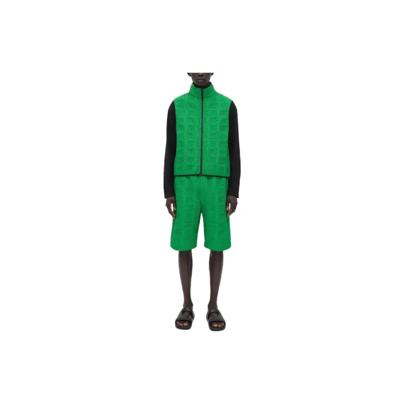 Bottega Veneta FW22 Casual Shorts Men's Green-1