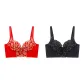 Red+Elegant Black