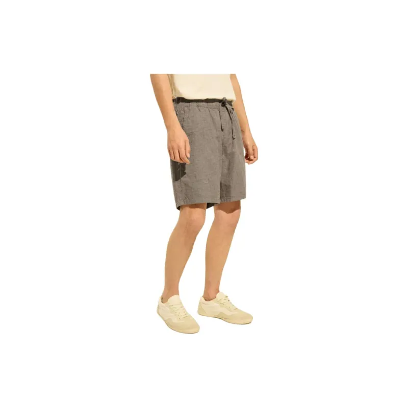 Hollister Casual Shorts Men's Brown-2