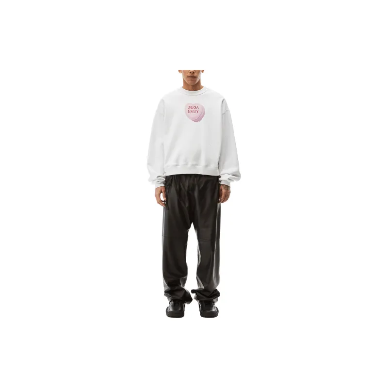 Alexander Wang Sweatshirts Unisex Gray-1