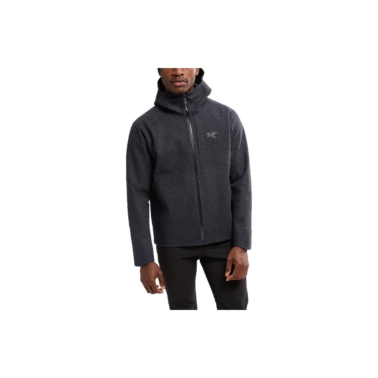 Arcteryx SAWYER Jackets Coats Men's - POIZON
