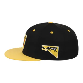 EBBETS FIELD FLANNELS Polyester Baseball Caps Men's Black