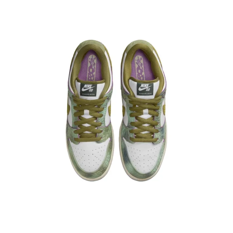 Nike Sb Dunk Low & Converse Cons AS 1 Pro Alexis Sablone Chameleon Pack-8