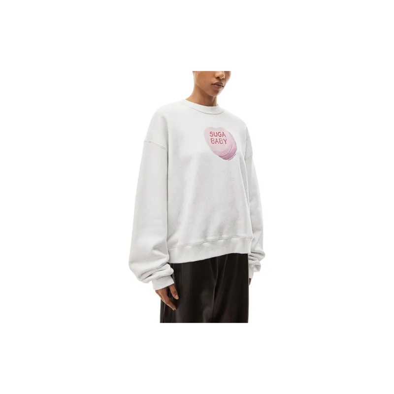 Alexander Wang Sweatshirts Unisex Gray-4