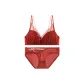 Brick Red Bra+Underpants