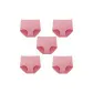 5 Pack (Pink+Pink+Pink+Pink+Pink)
