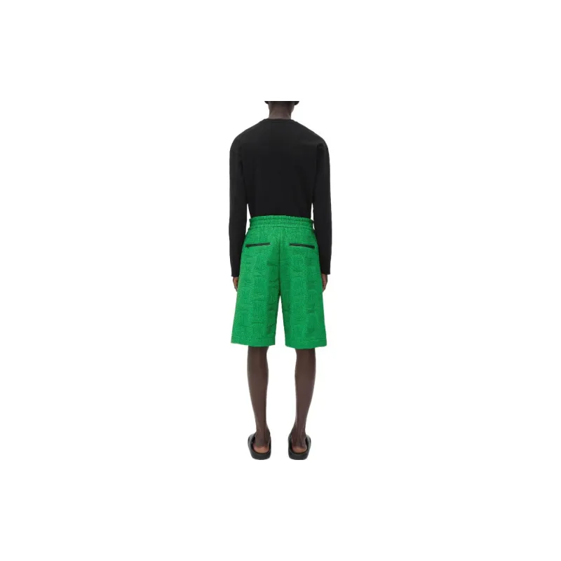 Bottega Veneta FW22 Casual Shorts Men's Green-4