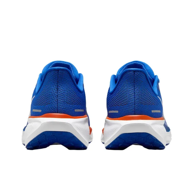 Nike Air Zoom Pegasus 41 Florida-4