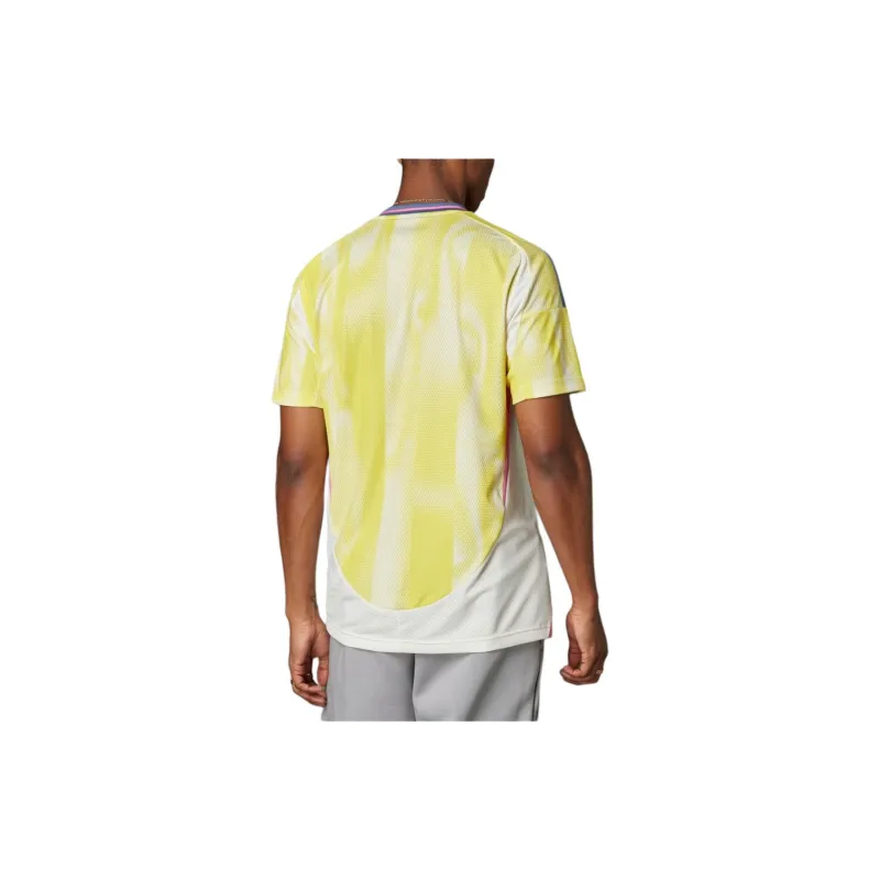 Adidas Free Shipping With AdiClub Juventus 24/25 Away Jersey-3