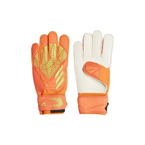Adidas Goalkeeper Gloves