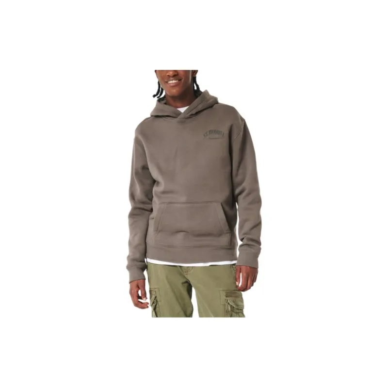Hollister Sweatshirt Men's Brown-1