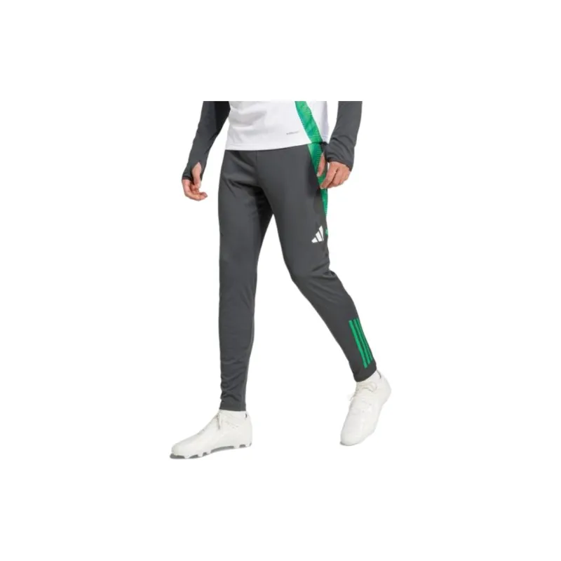 Adidas Celtic FCTiro 24 Casual Pants Men's Green Black-1