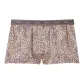 Leo Print/Leopard Print