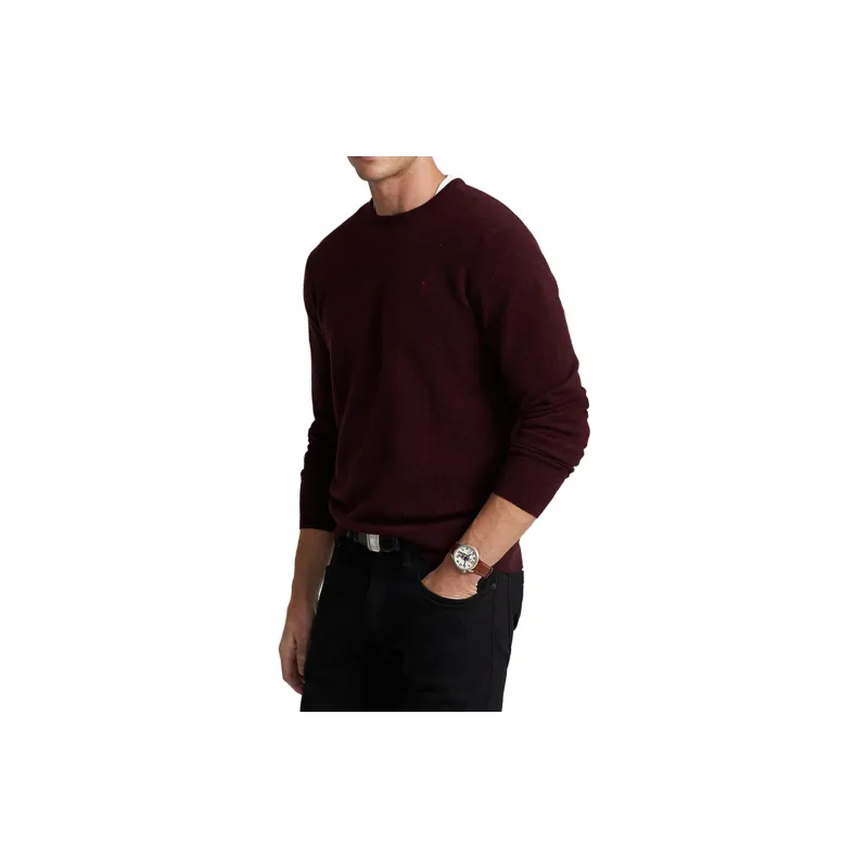 Polo Ralph Lauren FW23 Sweater Men's Red-1
