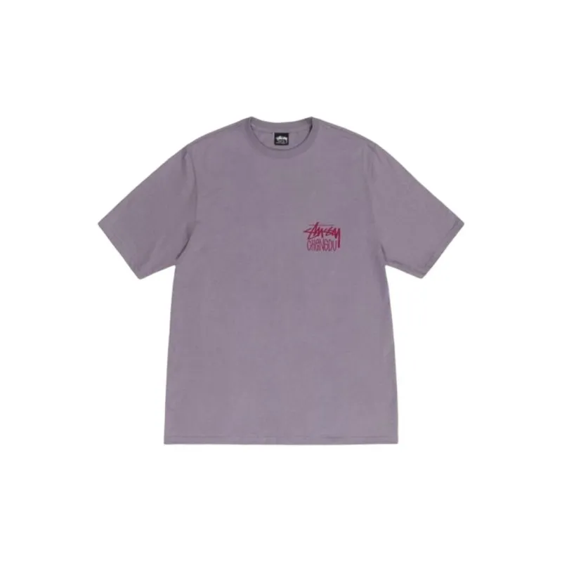 Stussy Chengdu Opening Limited Series T Shirts Unisex-5