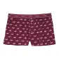 Wild Rose Dog Print/Rose Red