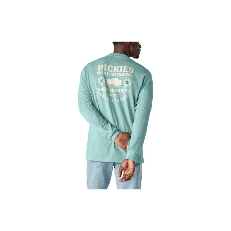 Dickies Hays Long Sleeve Graphic T-Shirt T-Shirt Men's Green-1