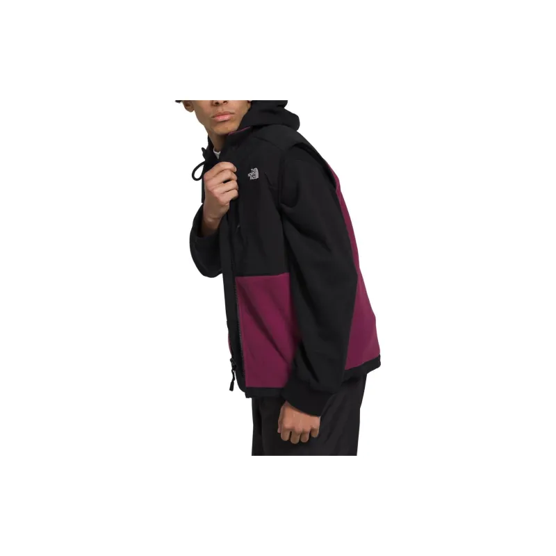 THE NORTH FACE DENALI Vest Men's Black Purple-3