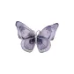 Purple HXZ2405007VI
