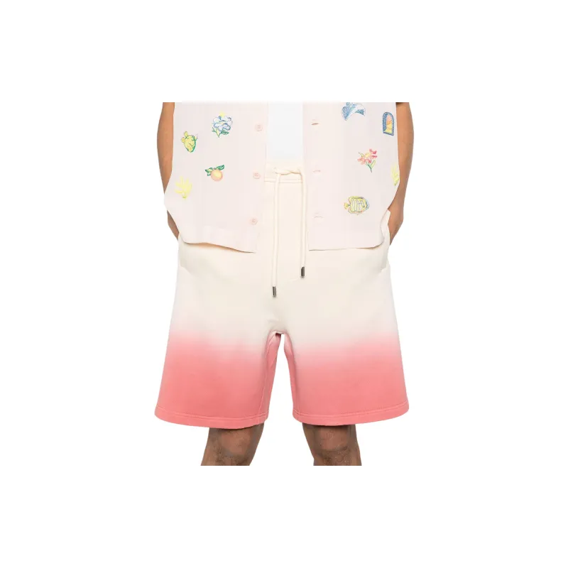 Lanvin Gradient Effect Shorts-2