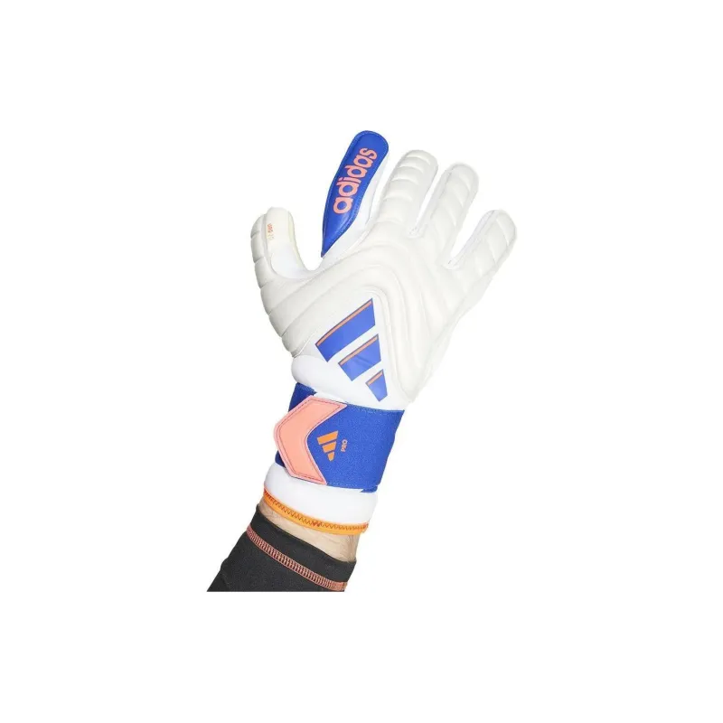 Adidas Goalkeeper Gloves-2