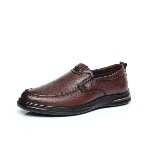 Mr. Thorn Tree Casual Shoes Men's Brown