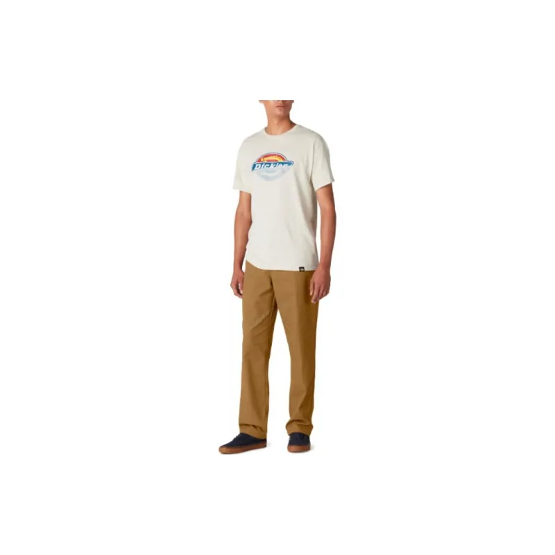 Dickies Casual Pants Men Brown-3