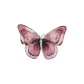 Pink HXZ2405007PI