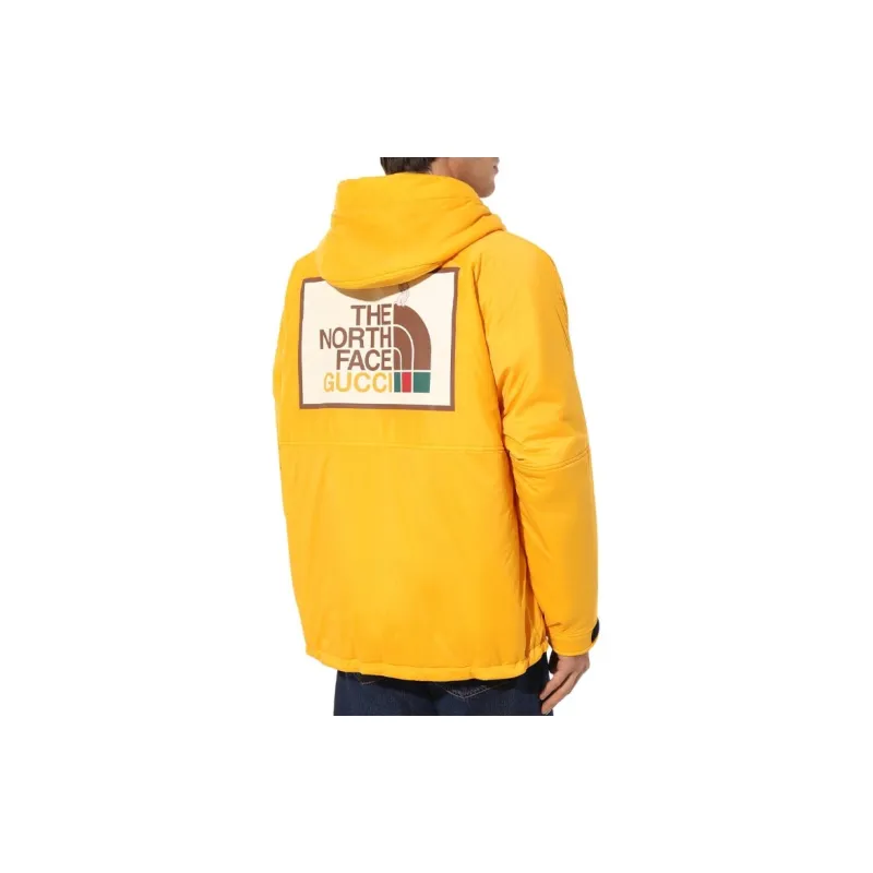 GUCCI 2020s X The North Face Padded Jacket-2