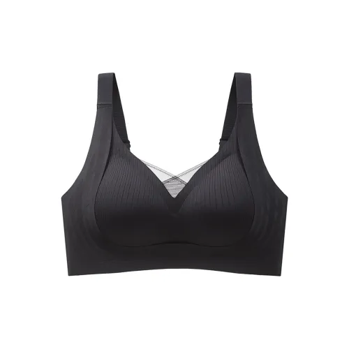 Lanza Women's Bras