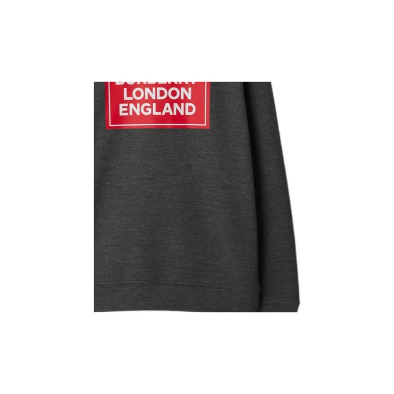 Burberry Fawson Logo Print Crew Sweater-5