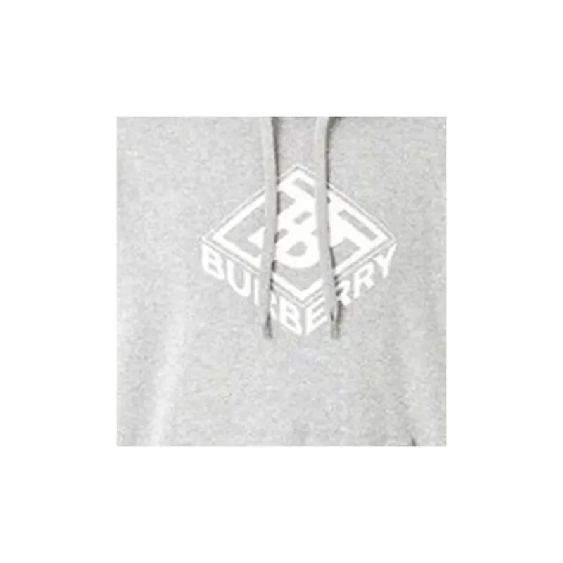 Burberry FW22 Sweatshirt Men's Light Gray-4