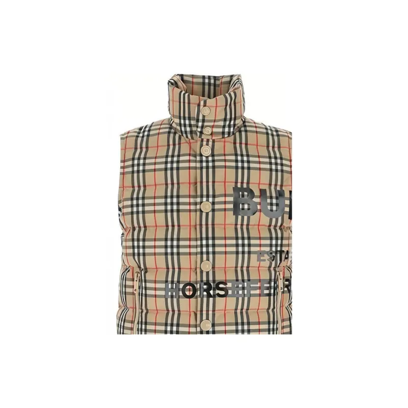 Burberry Down Jacket Men's Brown-4
