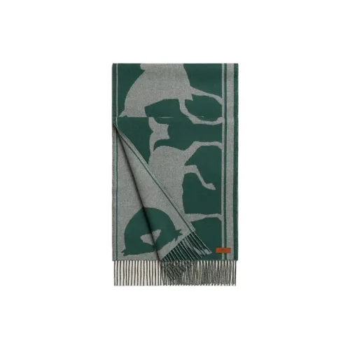 HERMES Cashmere Knit Scarves Women's Beech Green/Light Mixed Gray