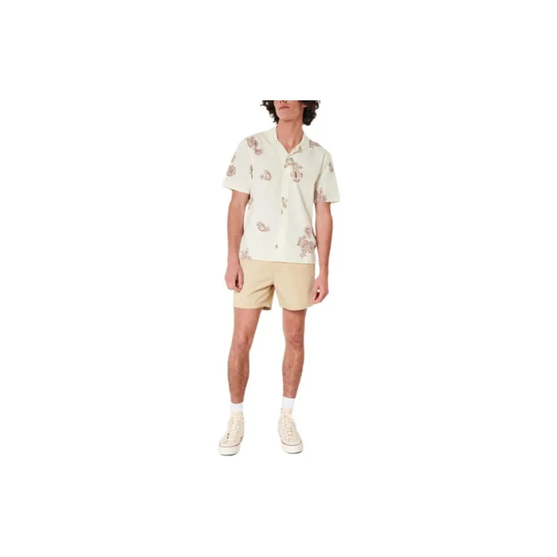 Hollister Shirts Men-6