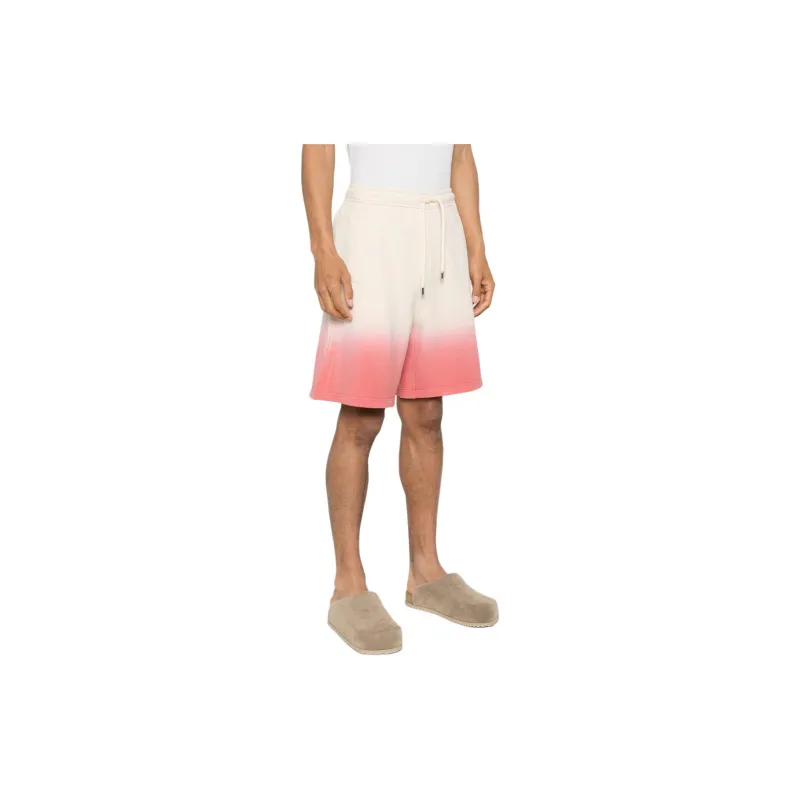 Lanvin Gradient Effect Shorts-4