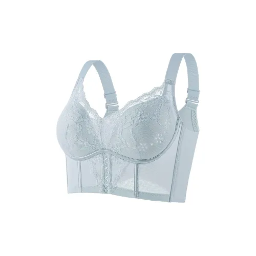 Lanza Women's Bras