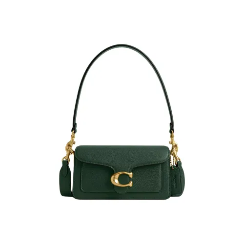 COACH Tabby Polished Pebble Leather Portable Crossbody Bag, Shoulder Bag Small Size Women's Hunter Green