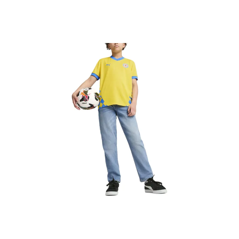 PUMA SS24 Eintracht Braunschweig Soccer Jerseys Men's Blue Yellow-2