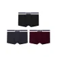 Black+Dark Purple+Maroon