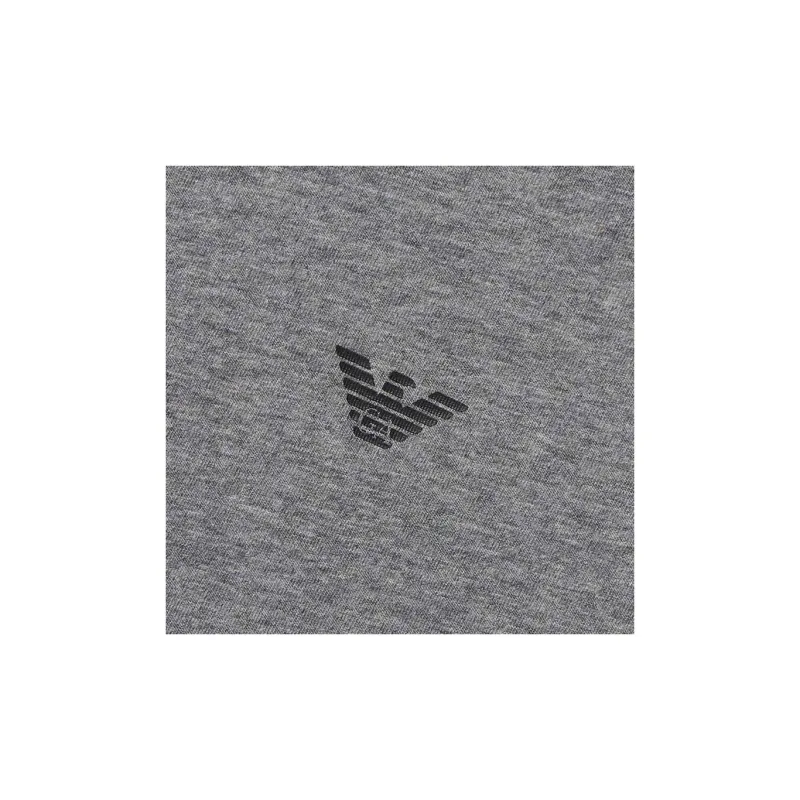 EMPORIO ARMANI SS24 Regular Logo Print Crew Neck Short Sleeved T Shirt Men's Men's 2 Pack 2 Pack-9