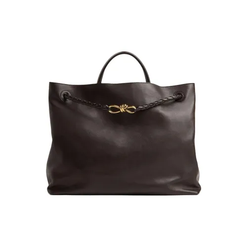 Bottega Veneta Andiamo Large Tote Bag