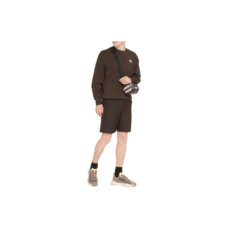 Dickies Sweaters Men Brown-3