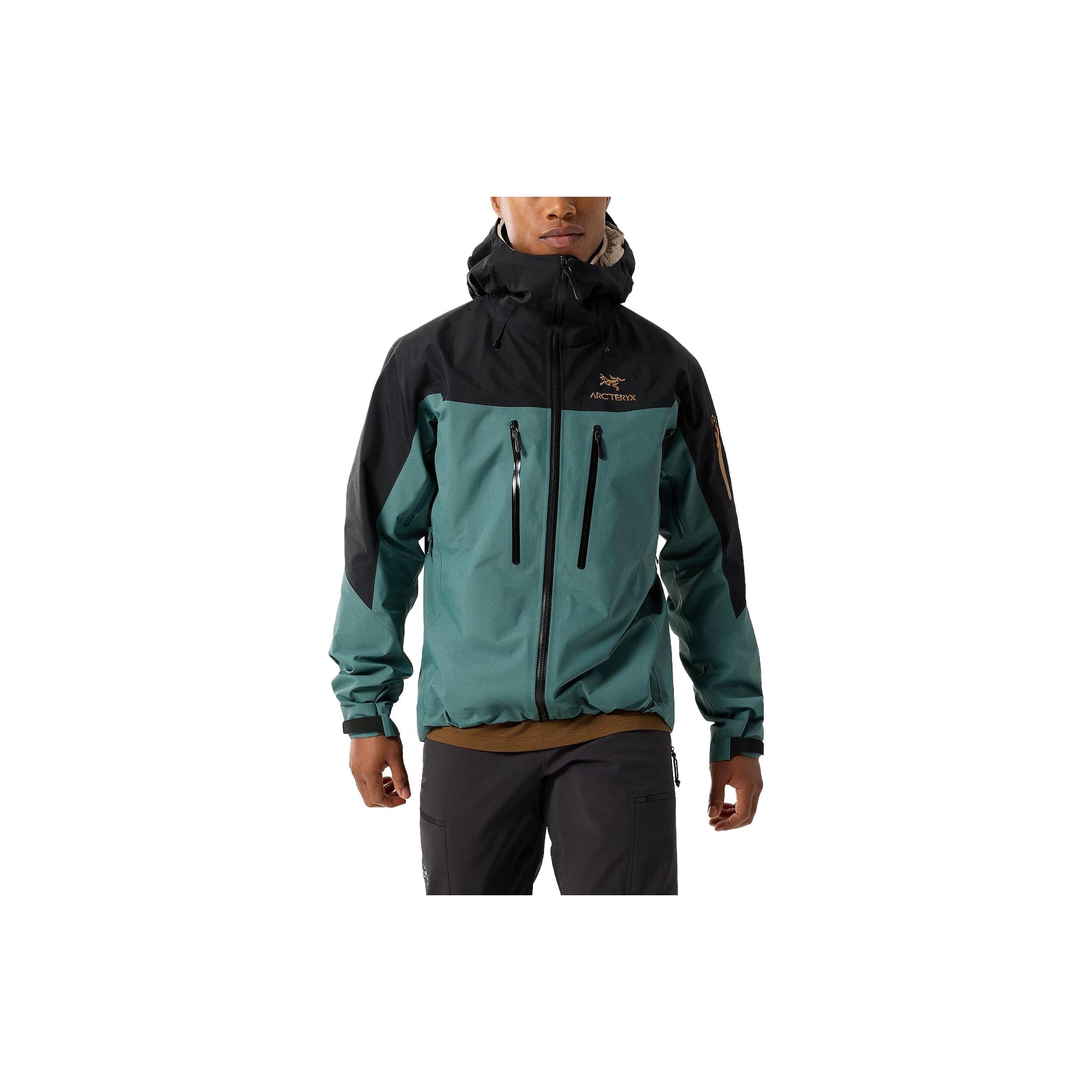 Arc'teryx Alpha SV Jacket Black S - POIZON